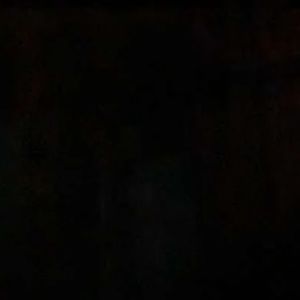 Meet your Posher, Rose